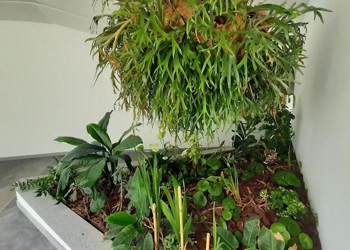 Roca Mar 4* Canico (Madeira)